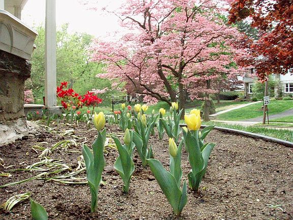 Bay Window Flower Garden