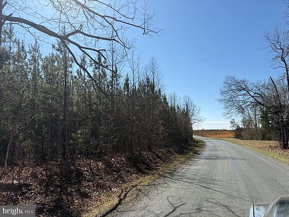 5th image of 2B Sanders Creek Rd