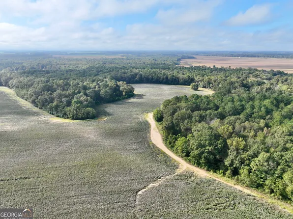 136 Pope Rd, Pineview, GA 31071