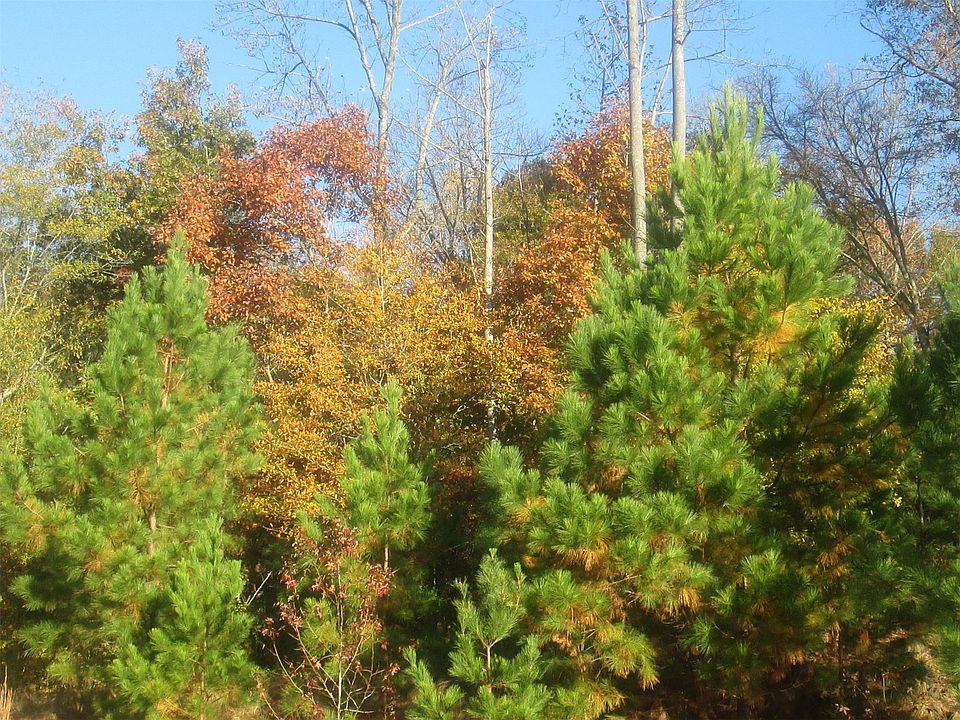1st image of 1085 Winder Hwy