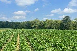 2nd image of 720 County Road 1350 N