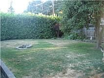 Huge backyard with firepit and fruiting pear tree
