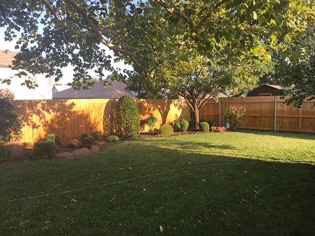 A view of the North East side of the backyard