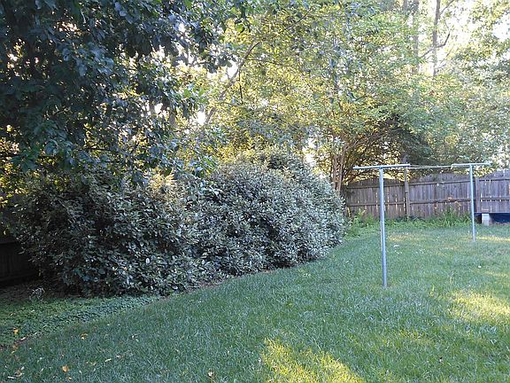 west side of back yard 