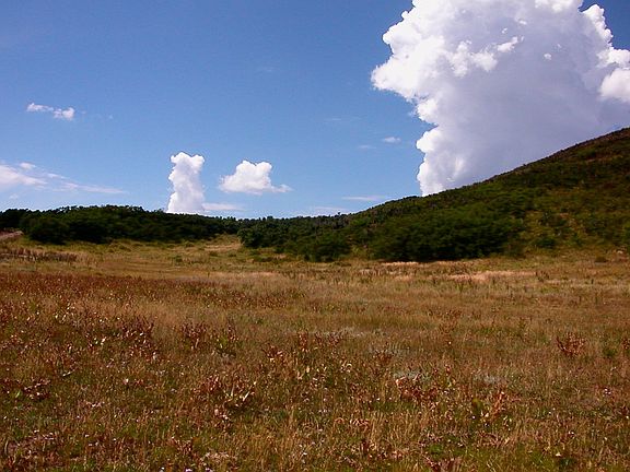 3rd image of Mountain Meadows Trl #67