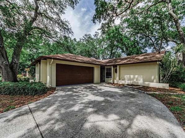 260 Arbor Glen Dr, Palm Harbor, FL 34683
