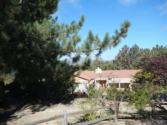 Mature Trees and Landscape Surround the Property