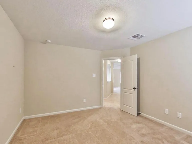 28807 Mayes Bluff Dr — Photo 16