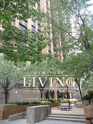 Rented by NY Living Solutions | media 6