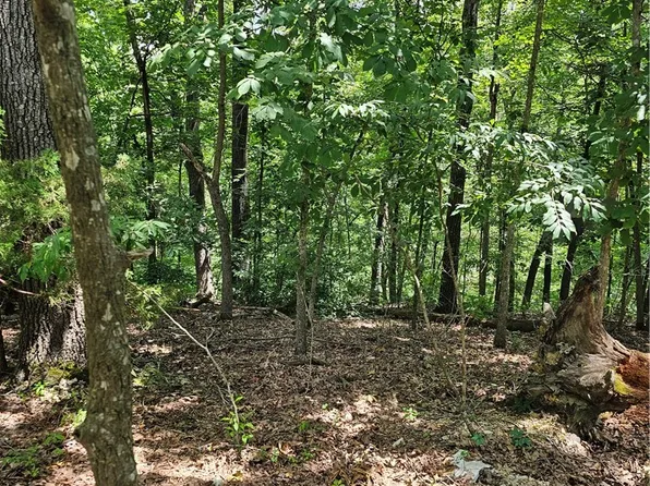 Blueberry Ln, Lowell, AR 72745