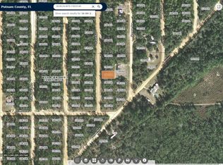 108 David Ave, Interlachen, FL 32148