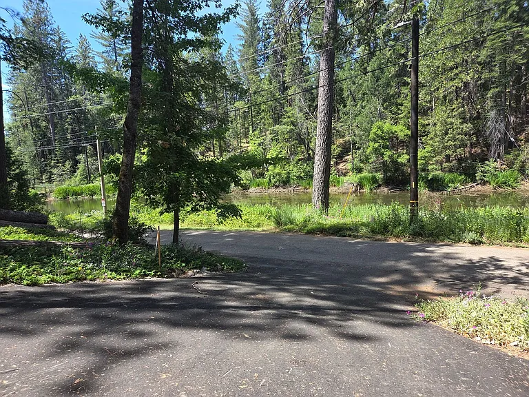 23369 Shadybrook Dr — Photo 11