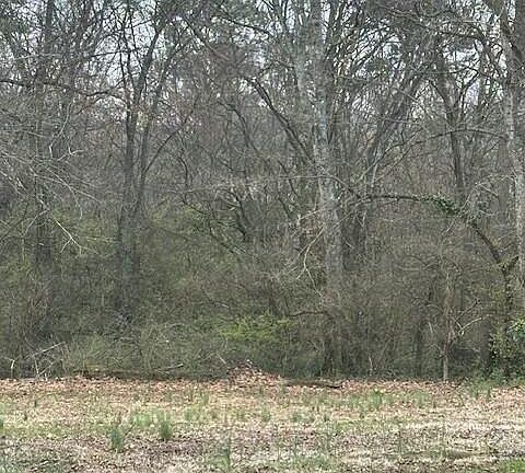 3rd image of 4310 Woodlawn Pike