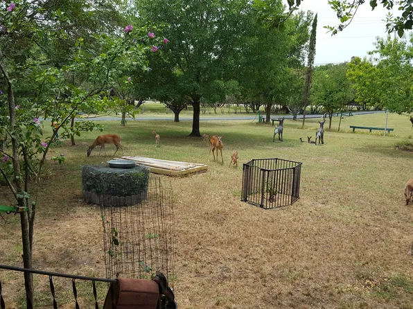 1655 Oak Springs Rd, Kempner, TX 76539