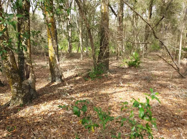 TBD SW 17th Ter, Bell, FL 32619