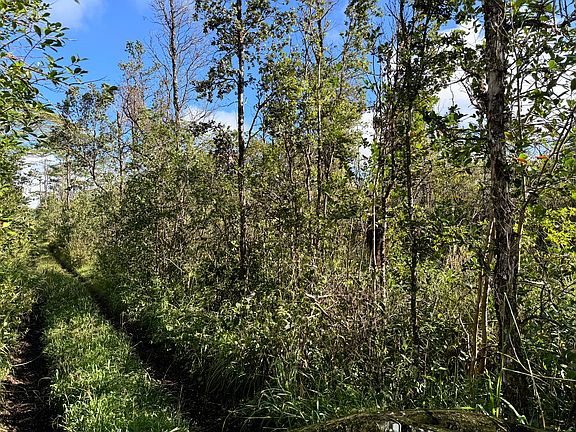 4th image of King Kamehameha Blvd Lot 18