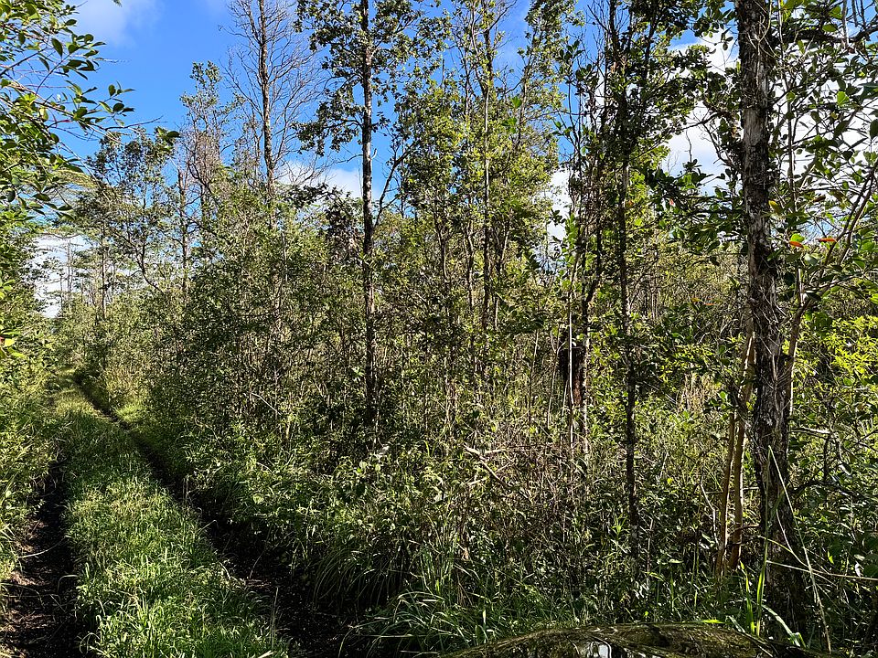 2nd image of King Kamehameha Blvd Lot 18