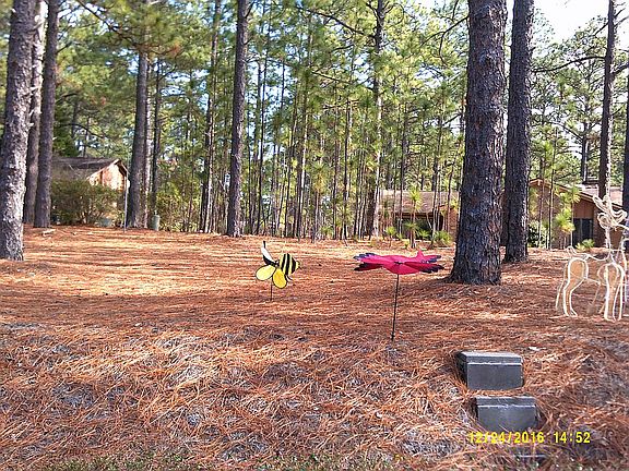 5th image of 741 Burlwood Dr