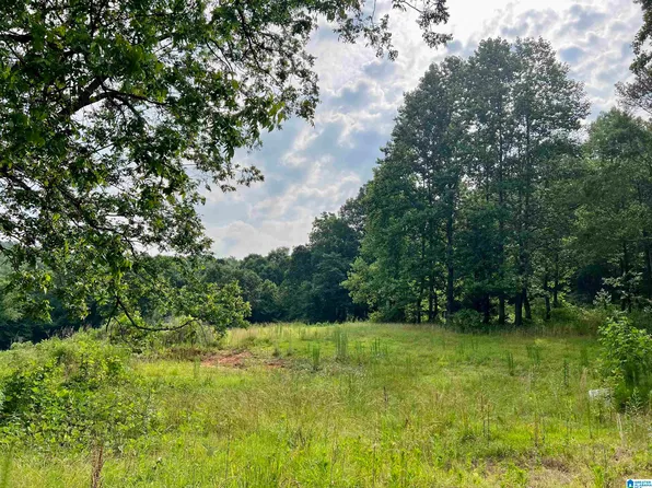 0 Fowler Springs Rd #21, Blountsville, AL 35031