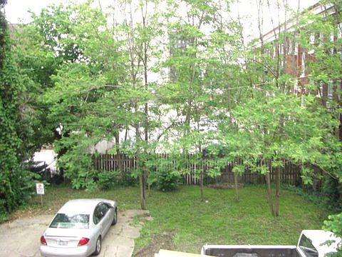 green space downtown!
