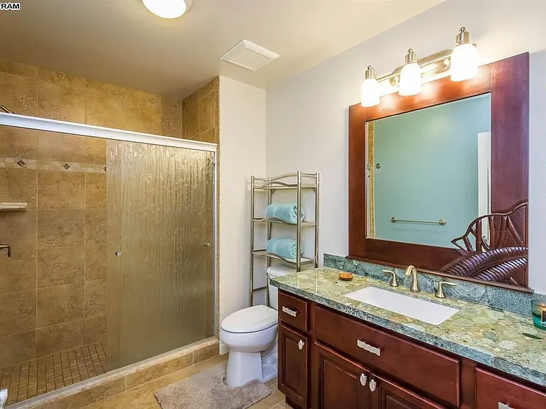 Master bathroom with large tiled walk-in shower with grab bars, large vanity and medicine cabinet.
