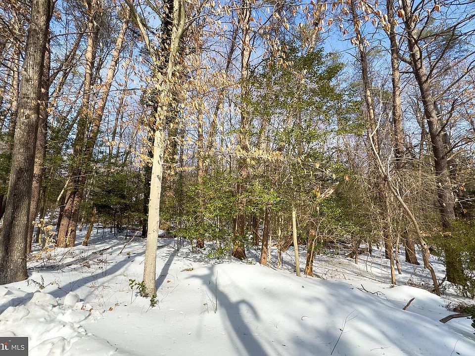 2nd image of 11529 Popes Head Rd