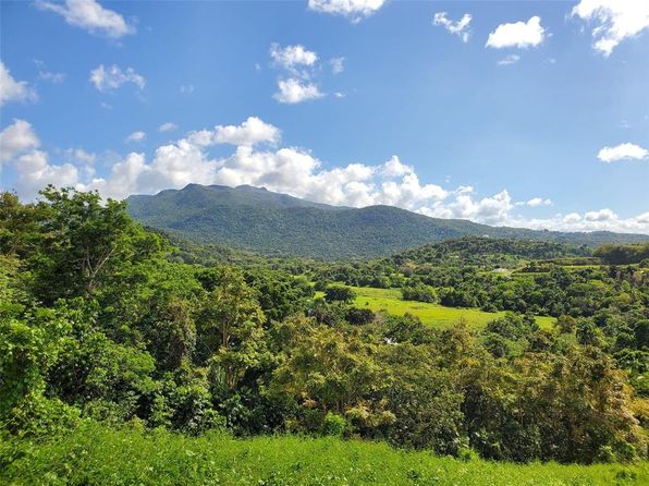 State Route 992 Km #5.2, Luquillo, PR 00773