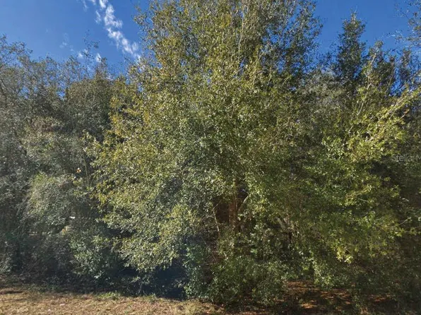 Maltas Ave #23, Interlachen, FL 32148