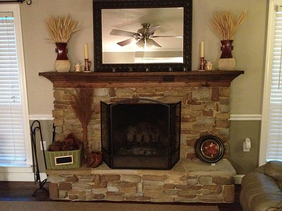 Den Fireplace