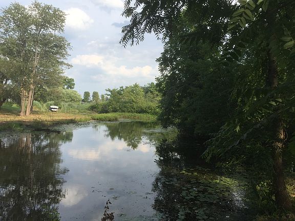 Canal view