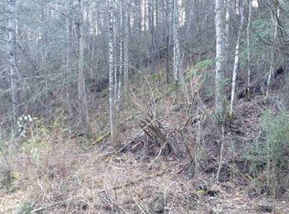 Punkton Rd, Del Rio, TN 37727