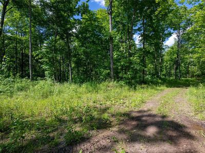 11397N Vasa Road, Hayward, WI, 54843