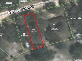 289 N Cooper Lake Dr, Interlachen, FL 32148