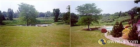 Rear Landscaping