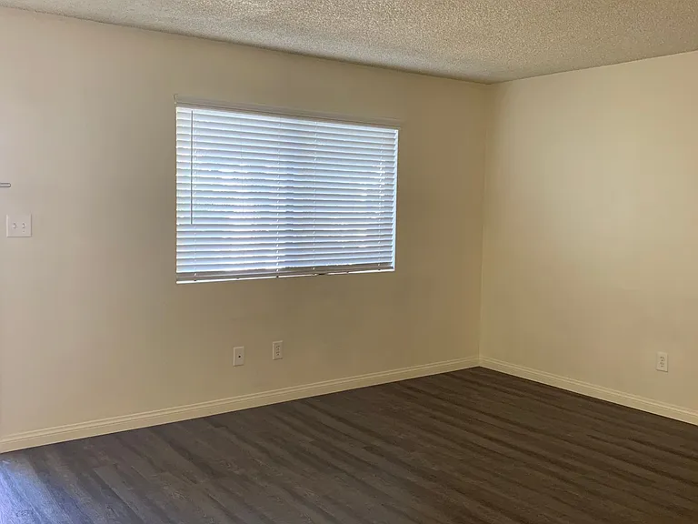 2500 Dracena St — Photo 6