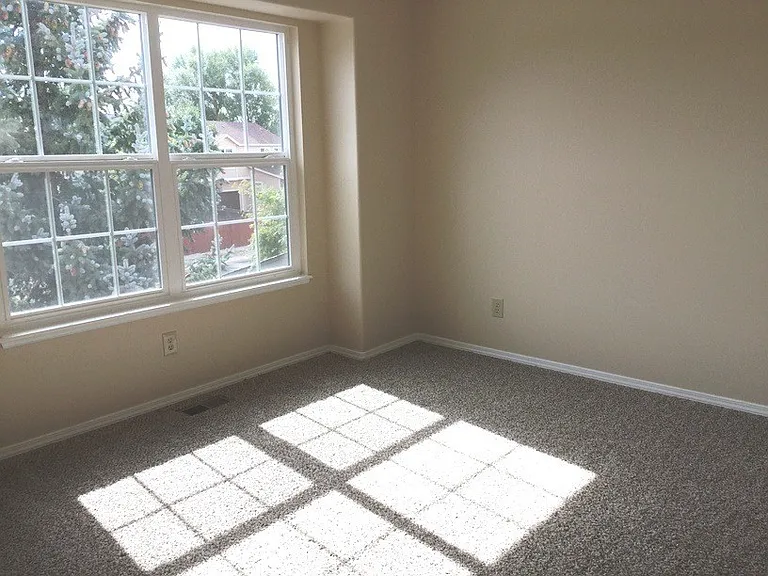 5532 Many Springs Dr — Photo 5