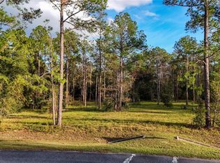 24325 Deep Springs Loop LOT 107, Eustis, FL 32736