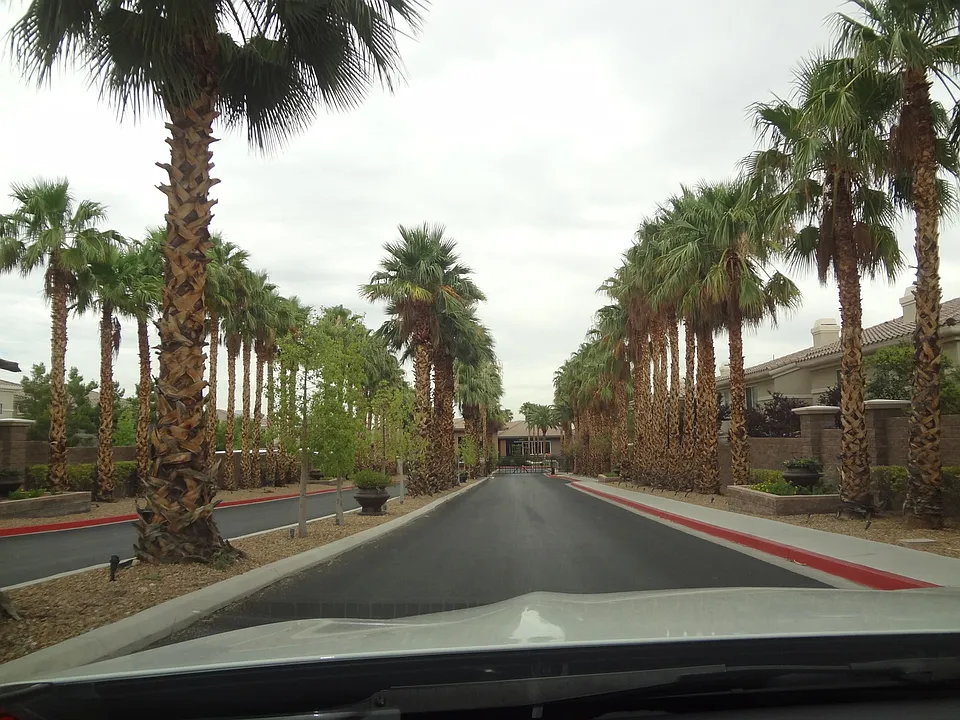 9050 W Warm Springs Rd #1081