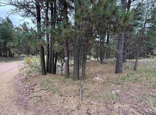 5 Valley Rd, Angel Fire, NM 87710