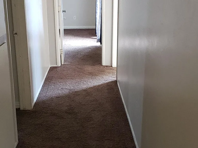 3806 Rickey Way — Photo 11