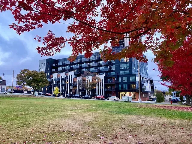 22 Dawson St
