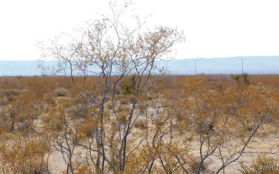 1st image of Lot 1449 W Zentiff Drive