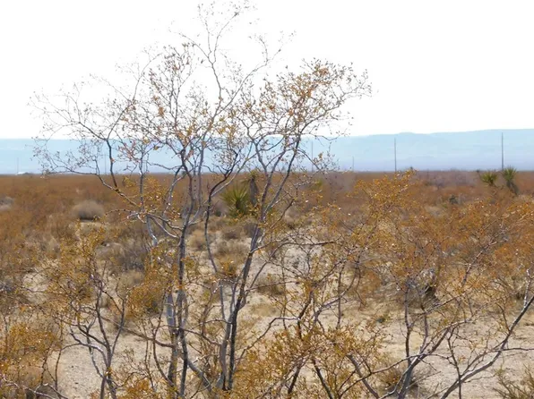 Lot 1449 W Zentiff Drive, Golden Valley, AZ 86413