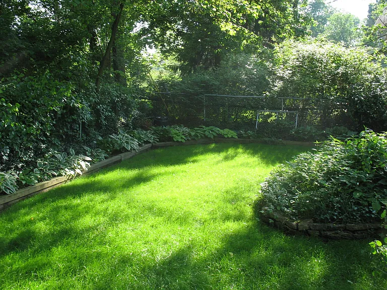 Back yard