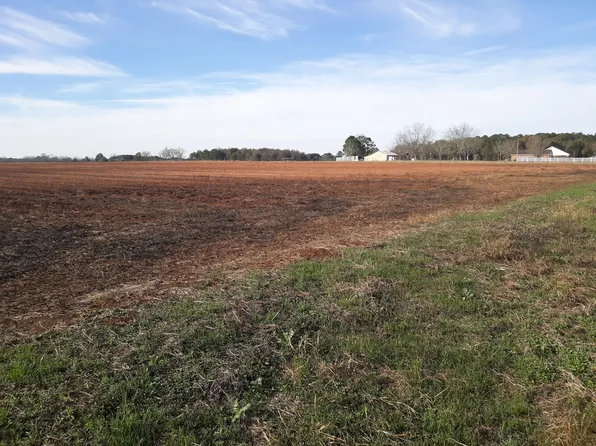 0 County Road 1, Daleville, AL 36322