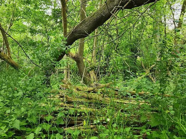 0B Howard St, Pt Hope, ON L1A 0B2