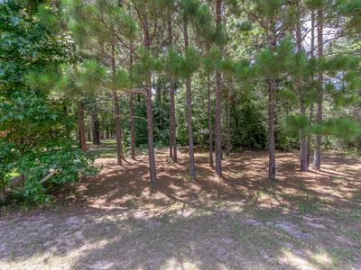 27 Rose Pine Ct, Magnolia, TX, 77355