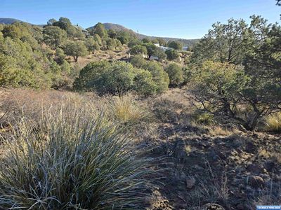 Xx Cottonwood Rd, Silver City, NM, 88061