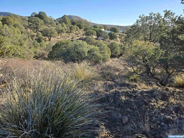 Xx Cottonwood Rd, Silver City, NM 88061