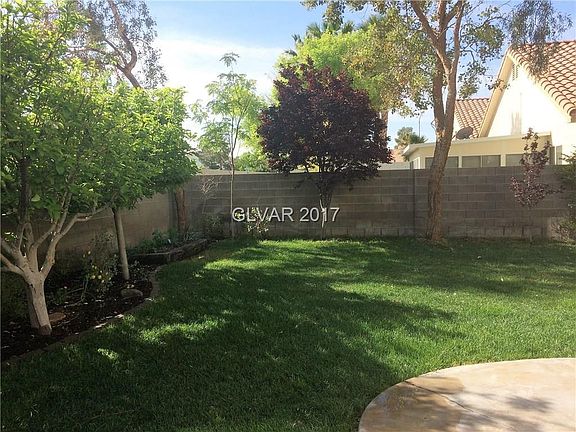 Beautiful shaded backyard